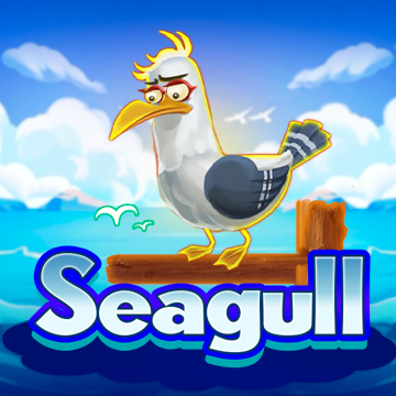 Seagull